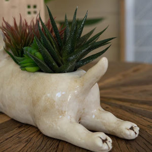 Bull terrier ceramic planter planted with succulents