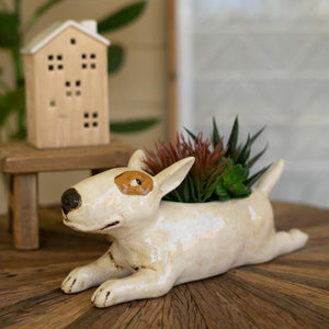 White ceramic bull terrier planter with succulents on a wood table