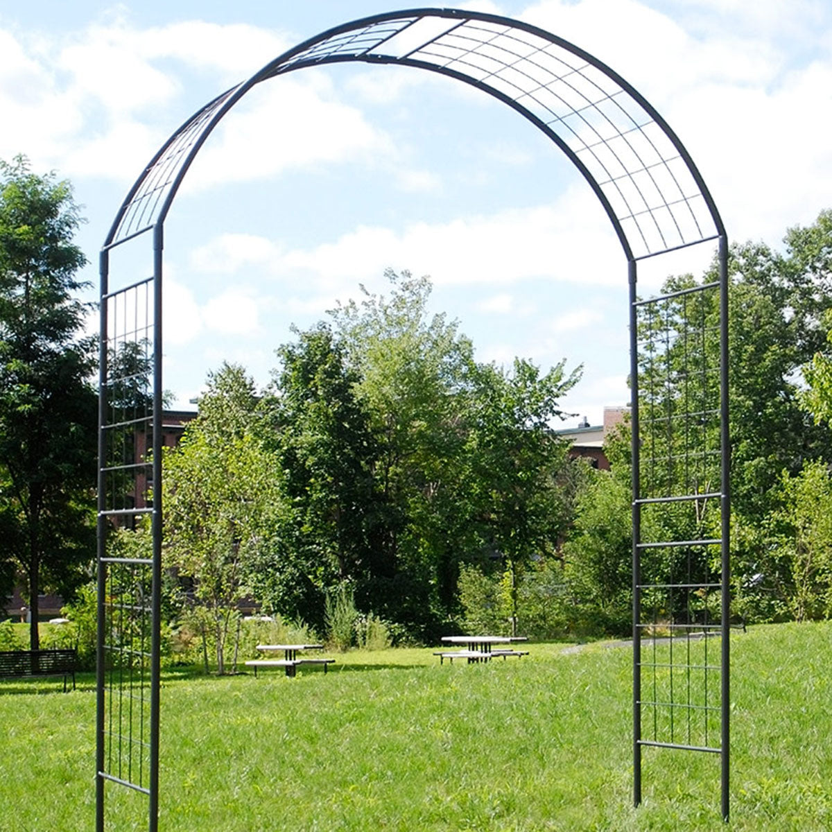 Octavia Arbor-Iron Accents