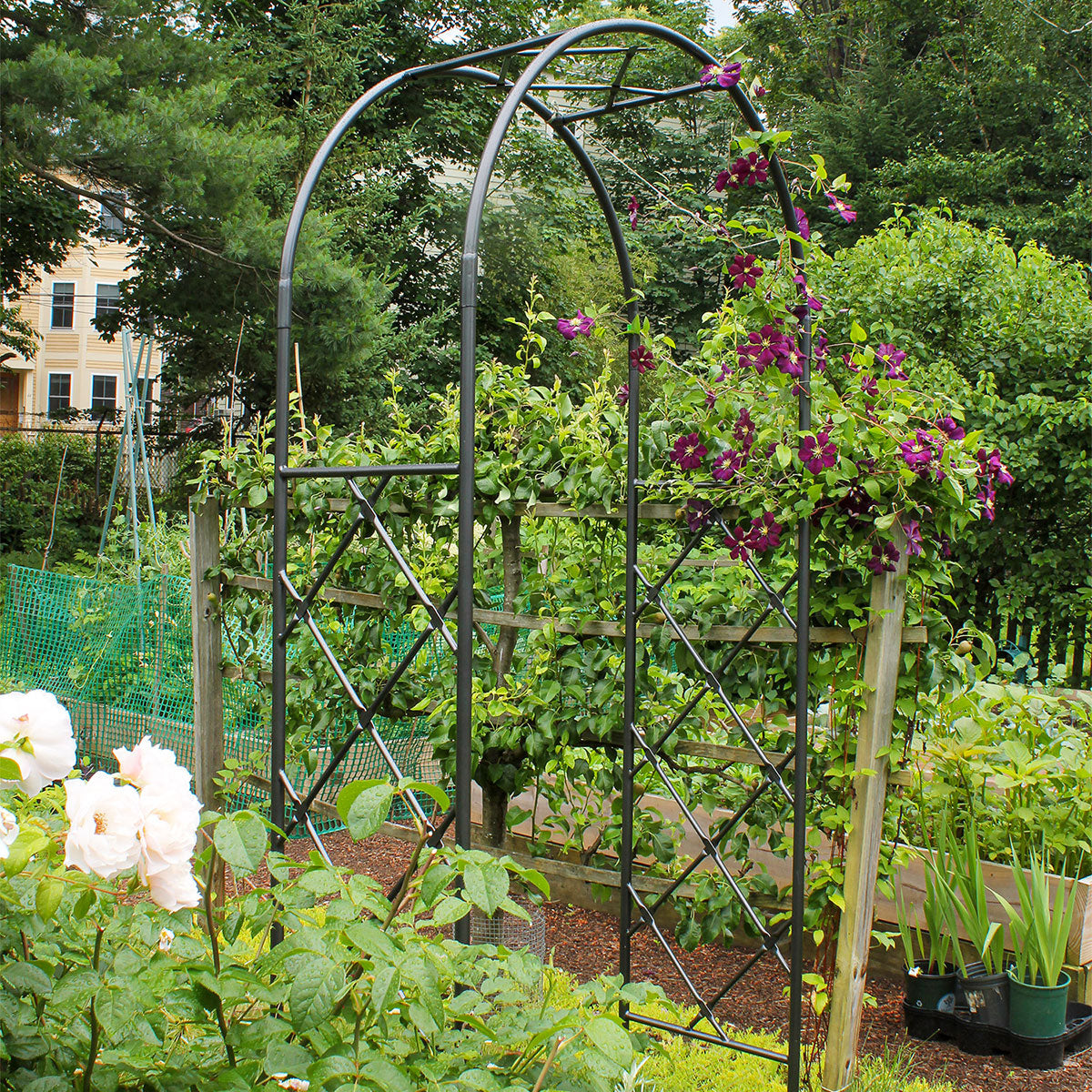 Diamond Garden Arbor-Iron Accents