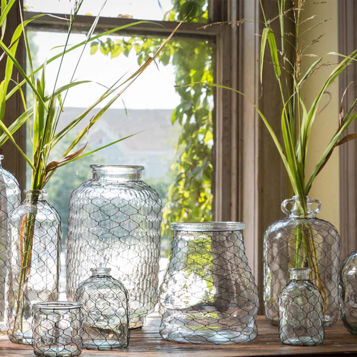 Collection Jar w/ Chicken Wire