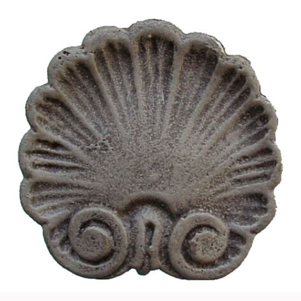 Seashell Scarf Holder