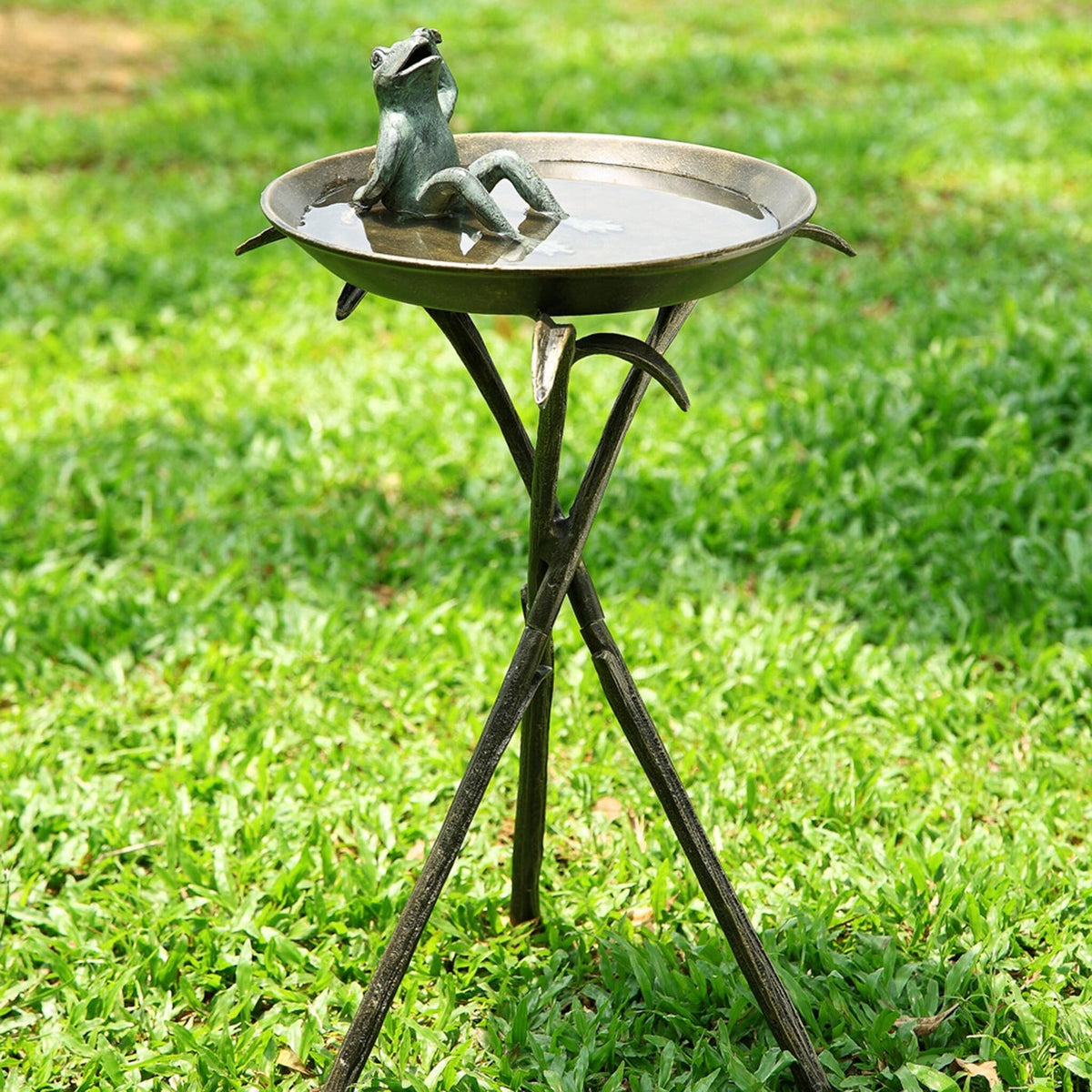 Happy Frog Birdbath