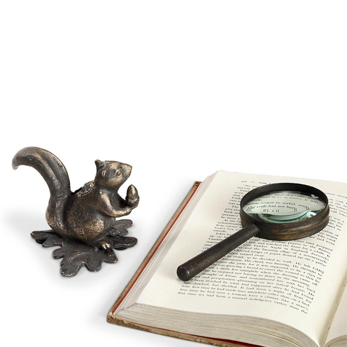 Squirrel Magnifier Glass