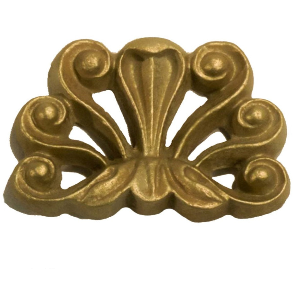 Shell Scarf Holder / Drapery Holdbacks