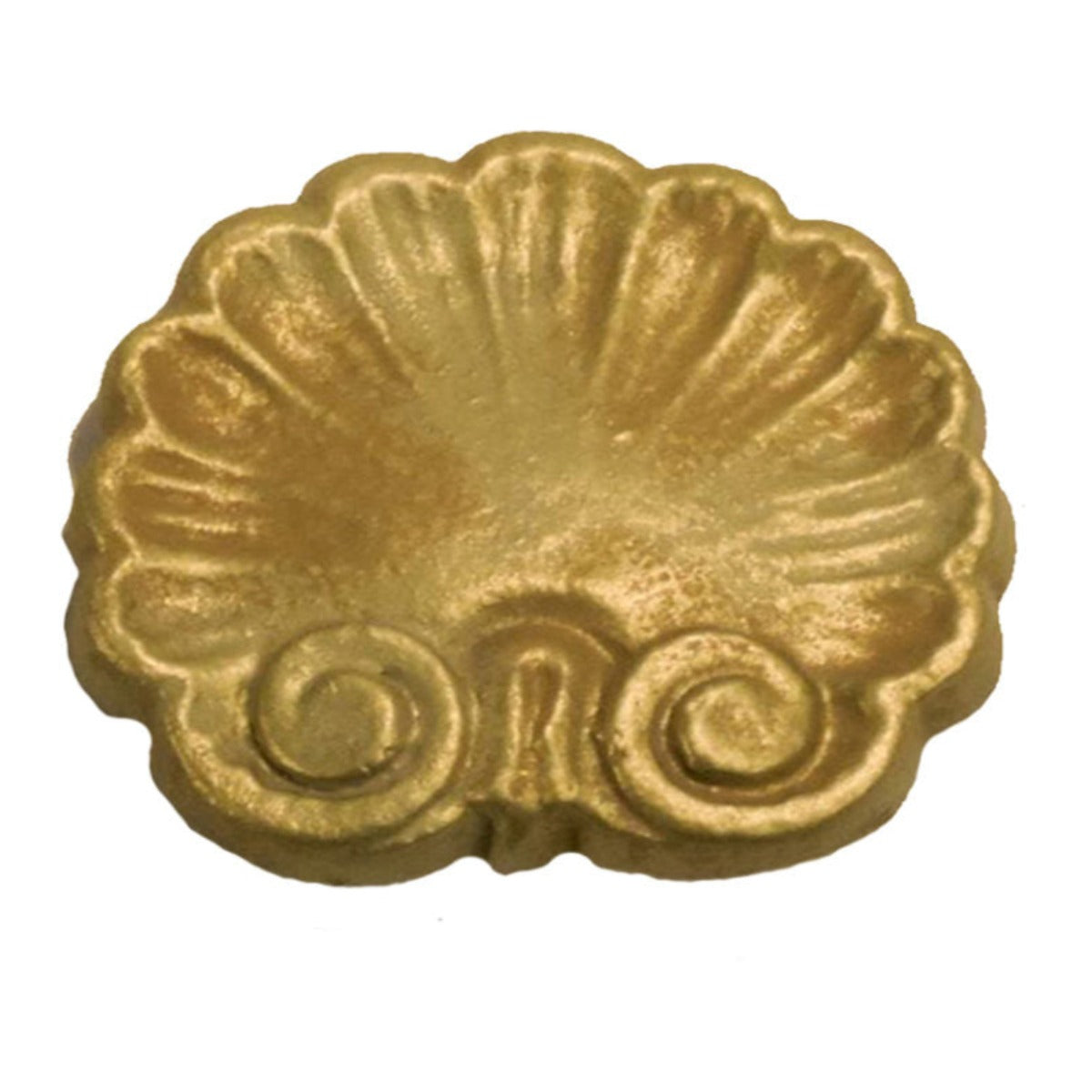 Seashell Scarf Holder