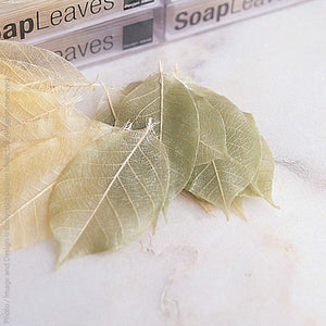 Soap Leaves