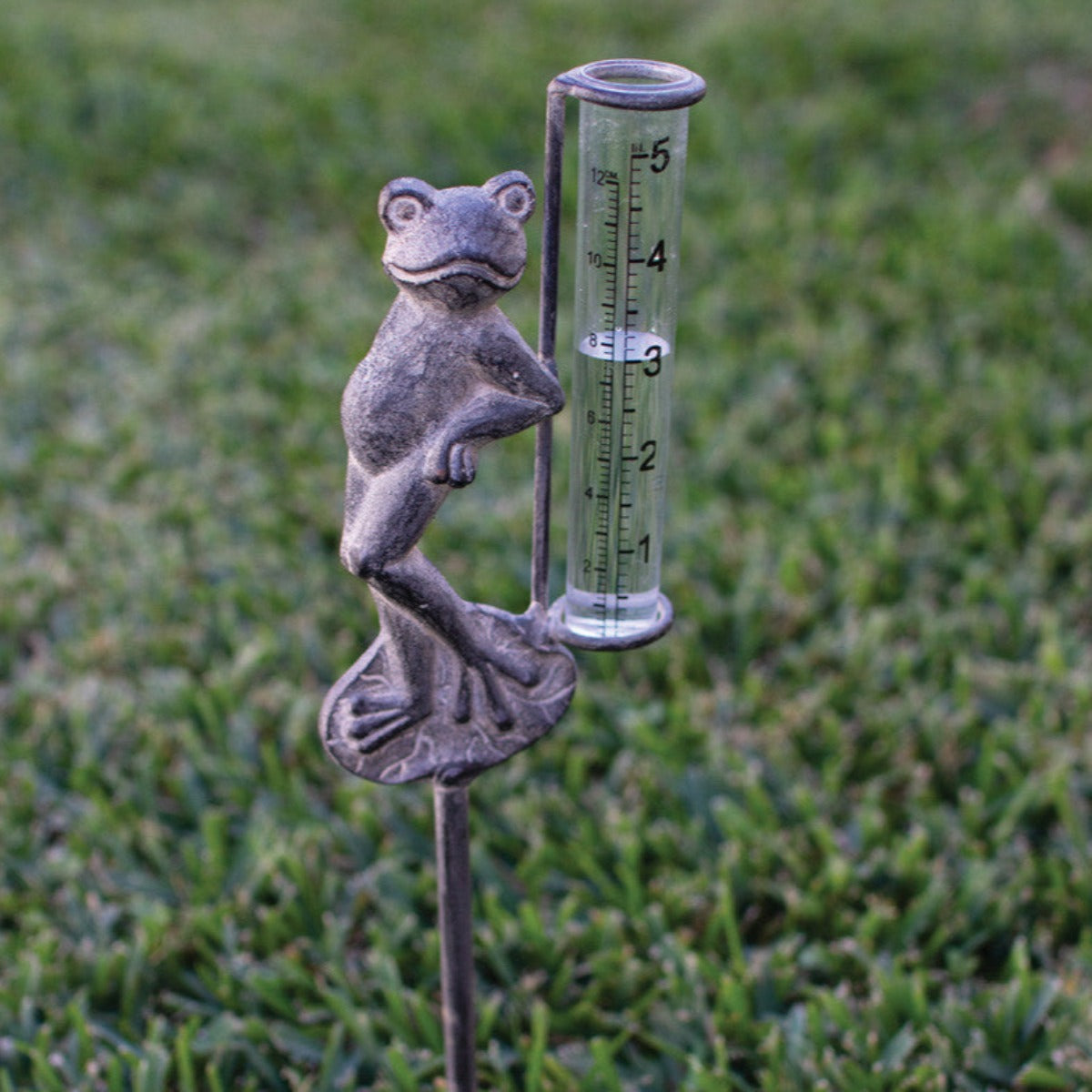 Decorative Frog Rain Gauge