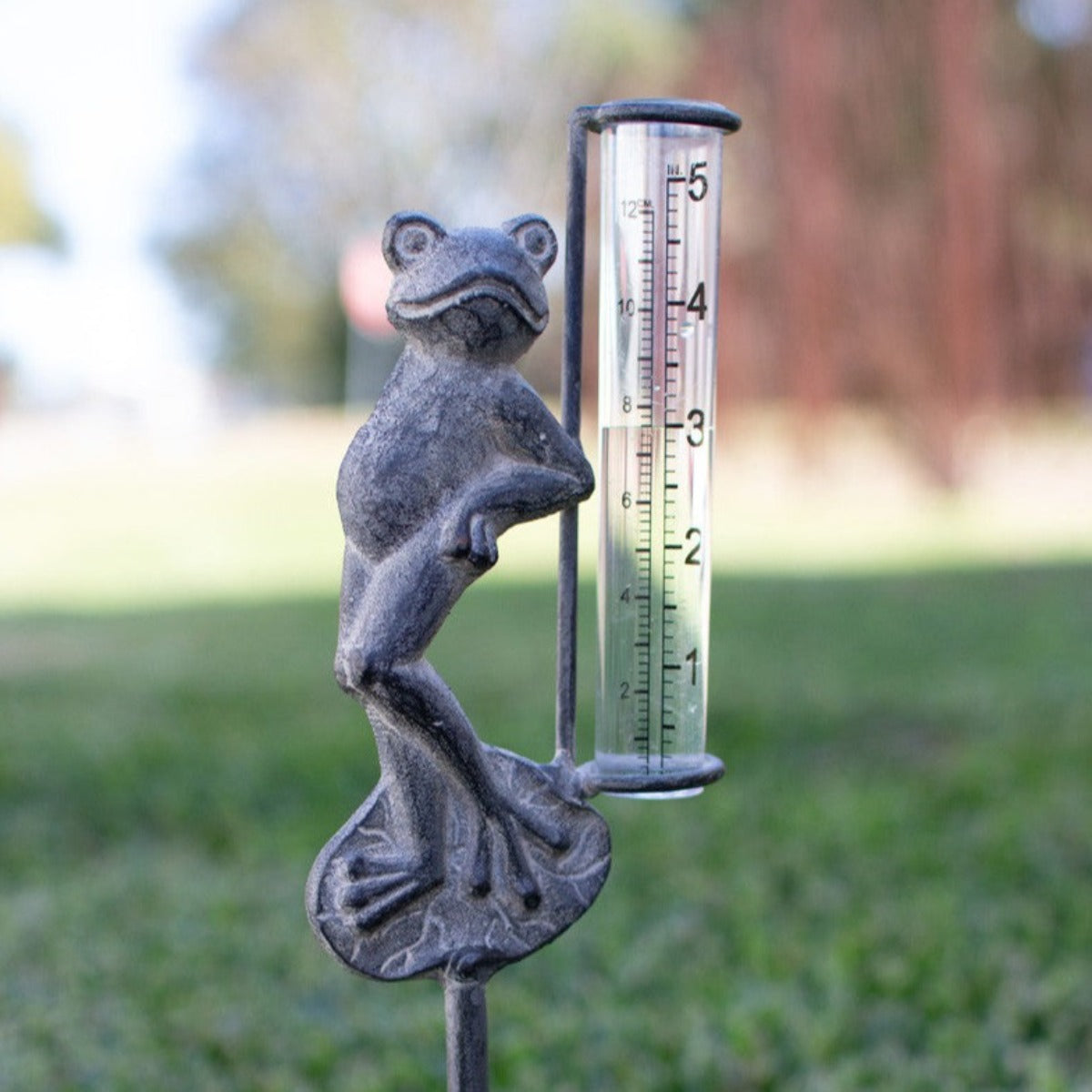 Decorative Frog Rain Gauge