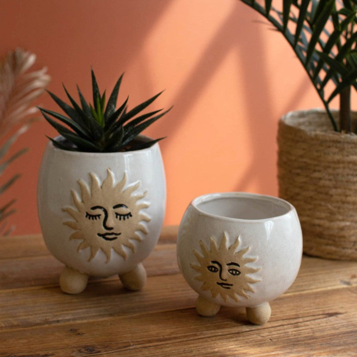 Joyful Sun Planters