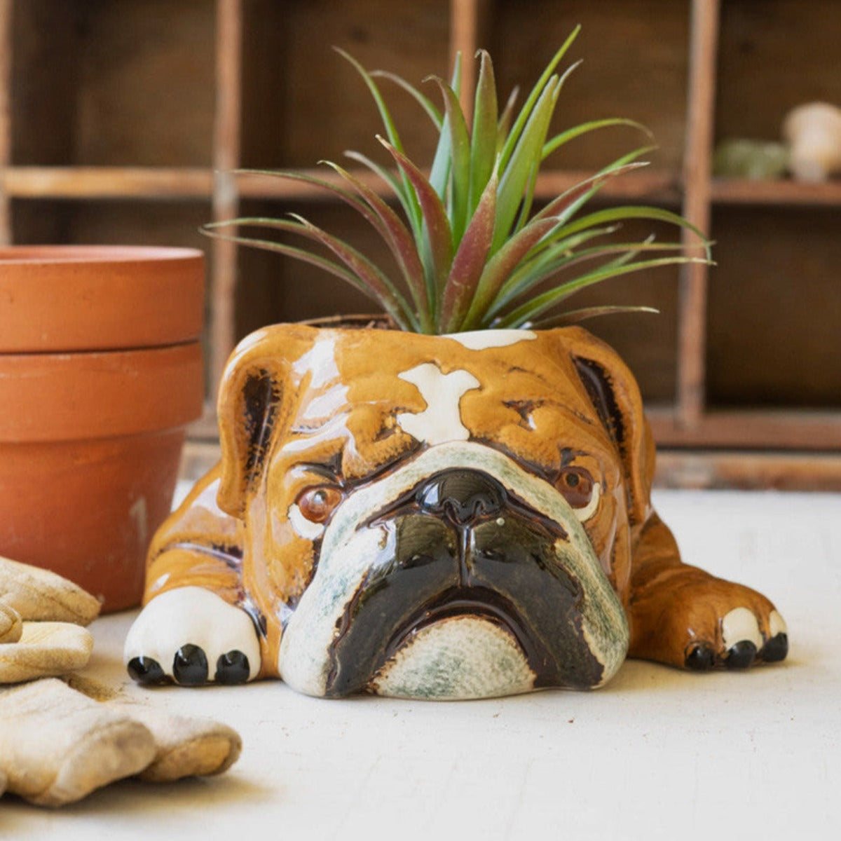 french bulldog succulent planter Sleepy Bulldog Planter