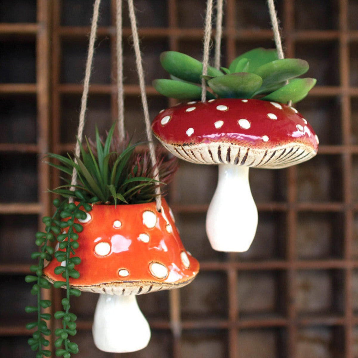 Hanging Fungi Planters