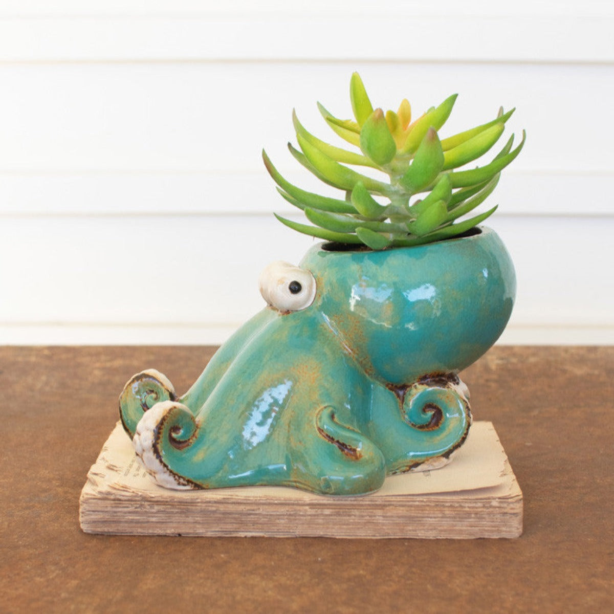 Octopus Planter