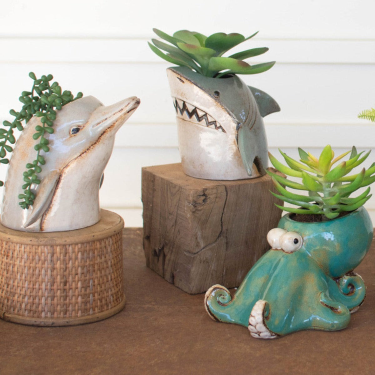 ocean plant pots Sea Side Planters