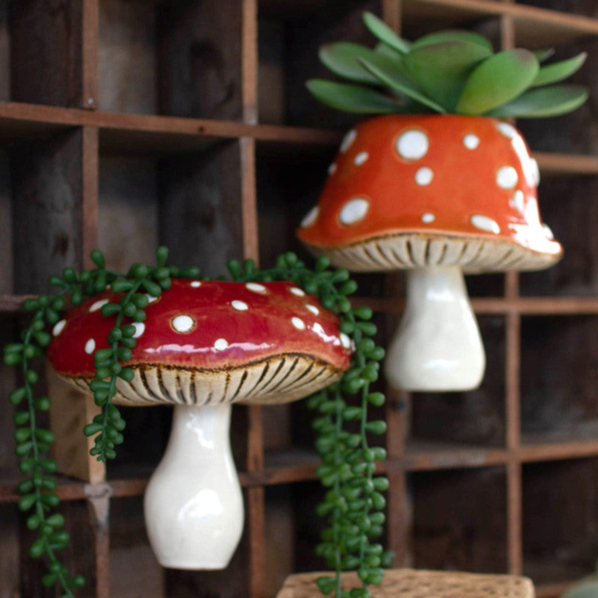 Fungi Fun Wall Planters