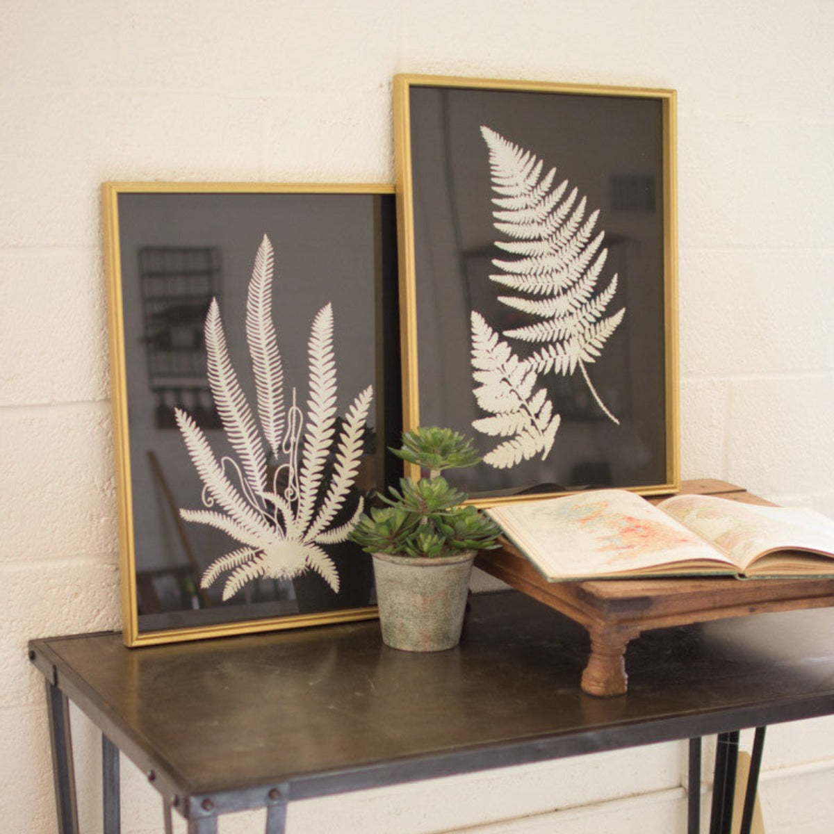 Framed Fern Prints