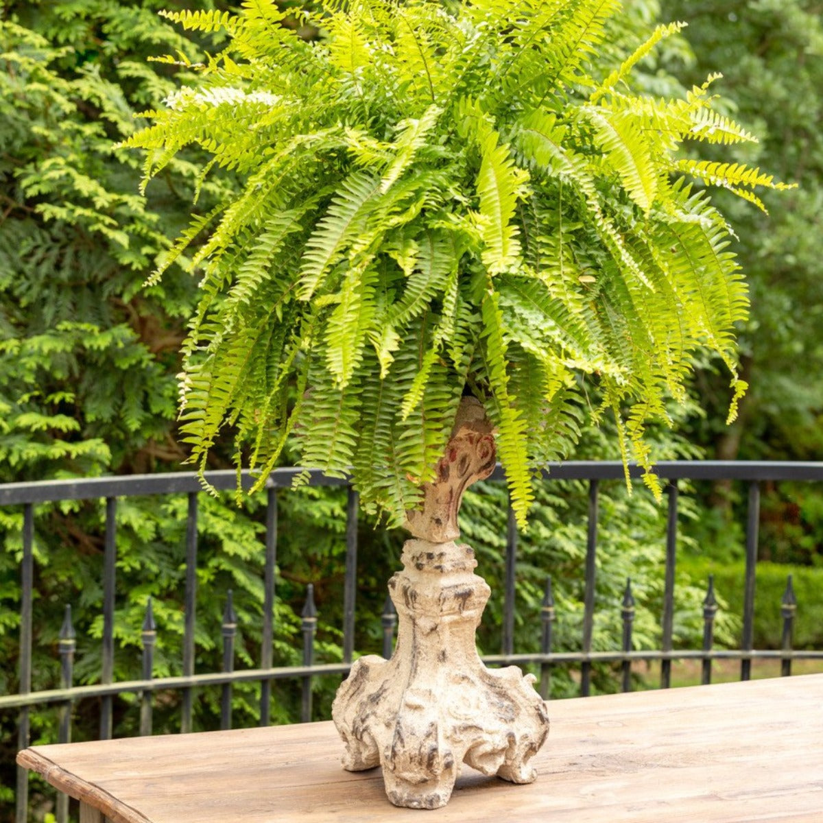 Cast Relic Candle Holder-Iron Accents