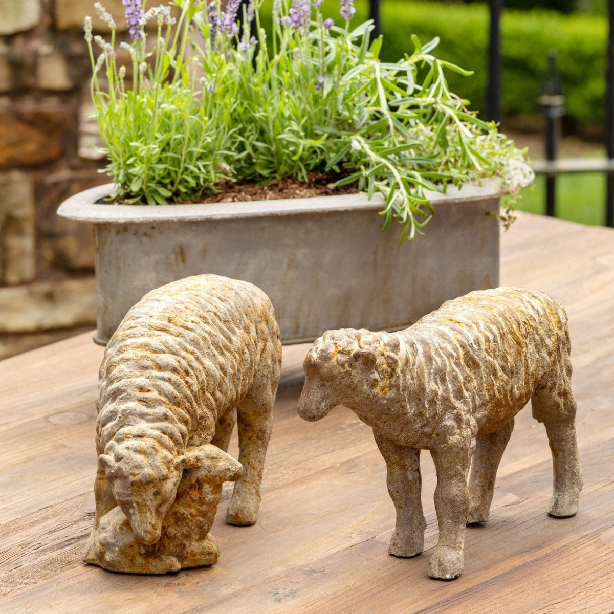 Country Sheep Family (Set-2)-Iron Accents