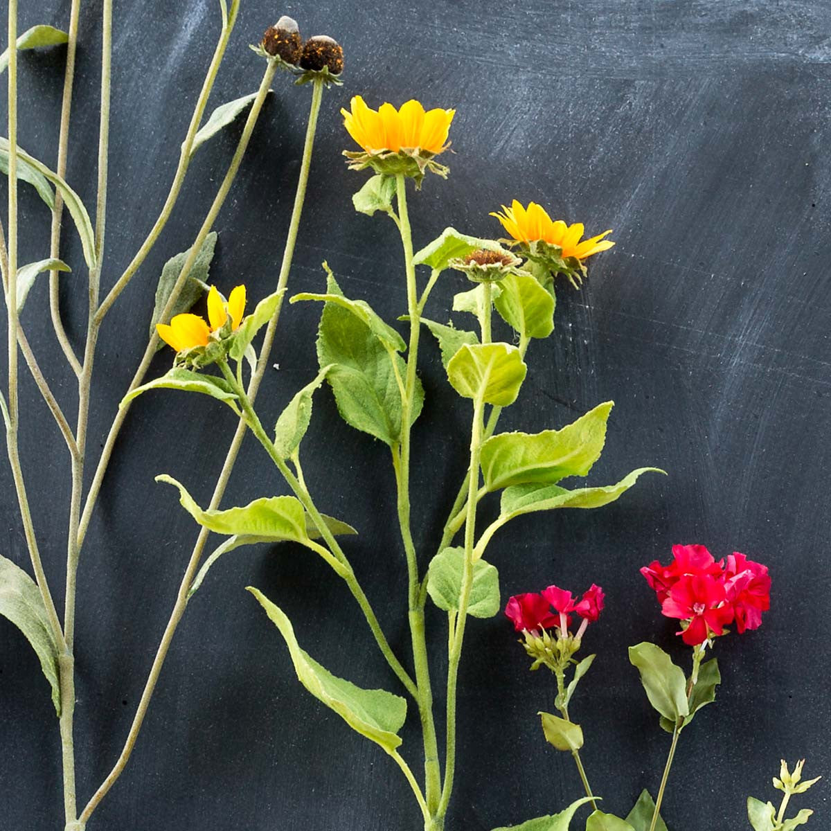 Crafted Wild Sunflower Stem