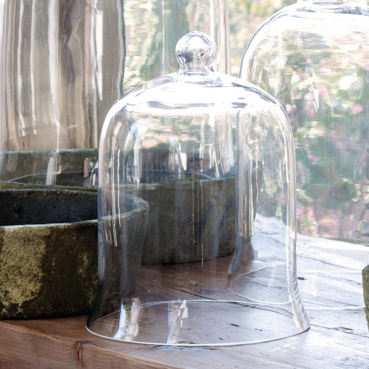 glass cloche for indoor plants Park Hill Bell Jar Extra Large