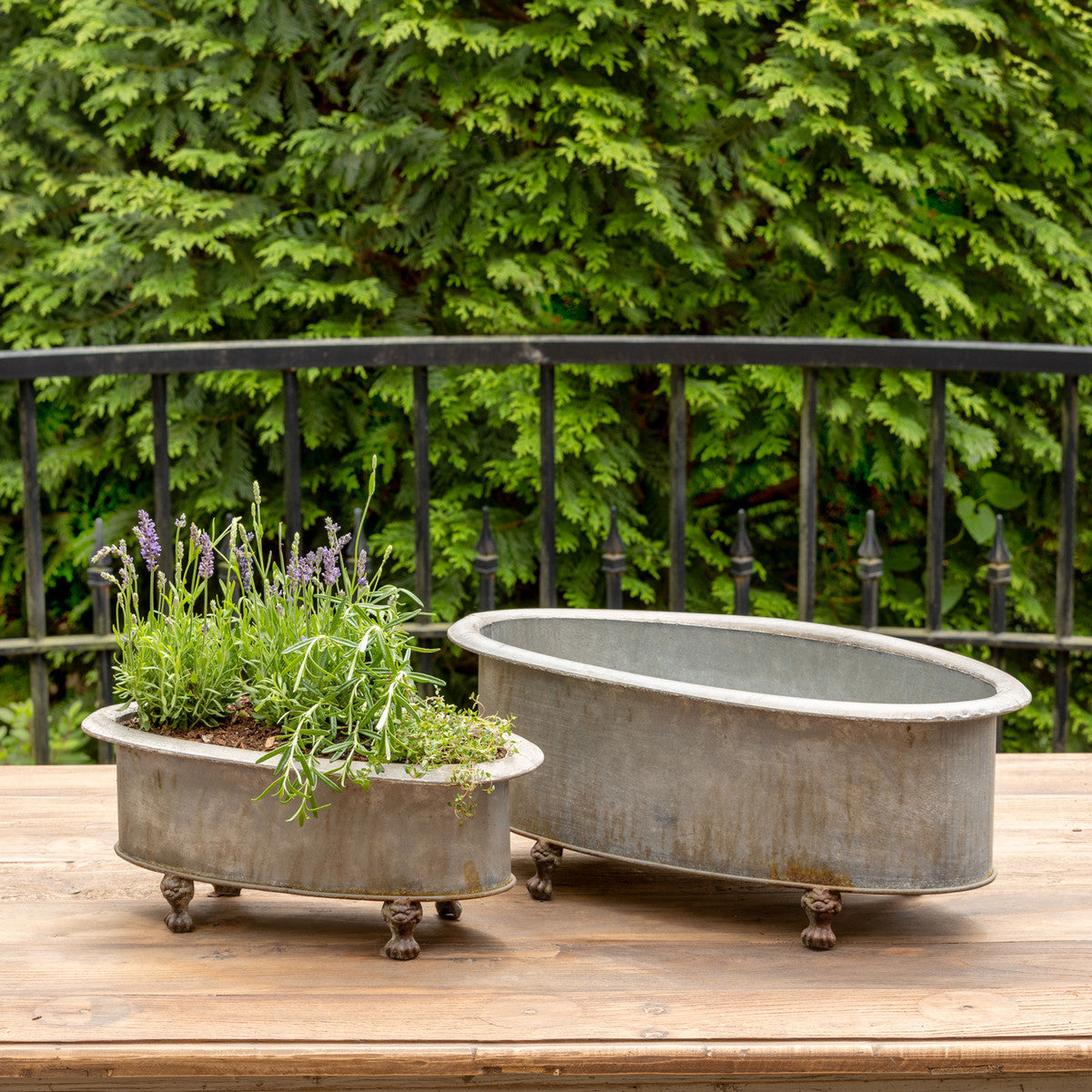 Centerpiece Planters (Set-2)-Iron Accents