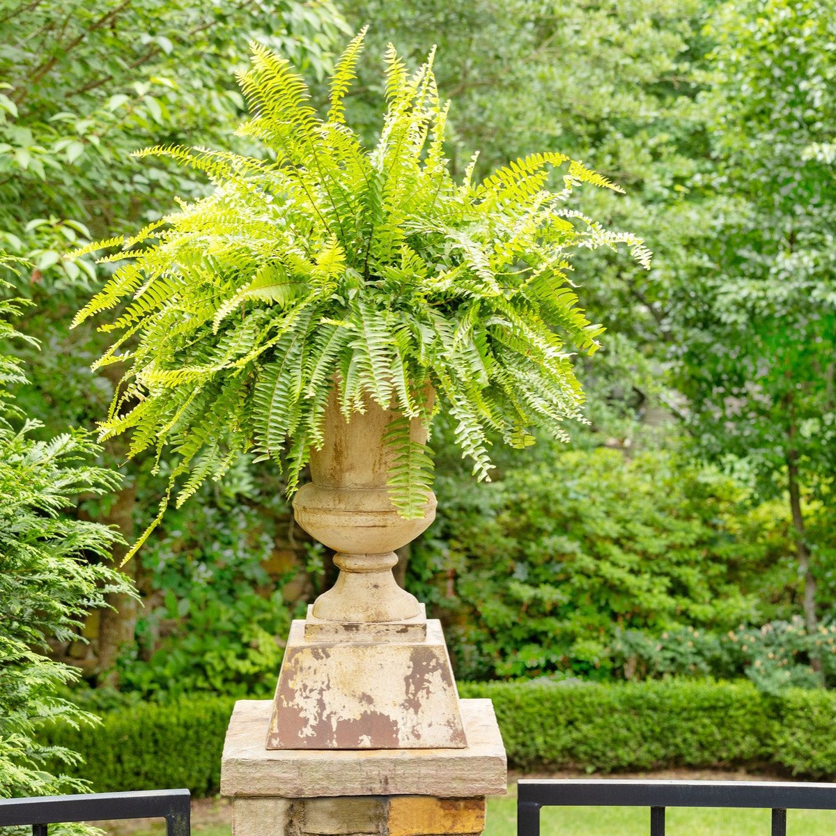 Aged Metal Entry Urn-Iron Accents