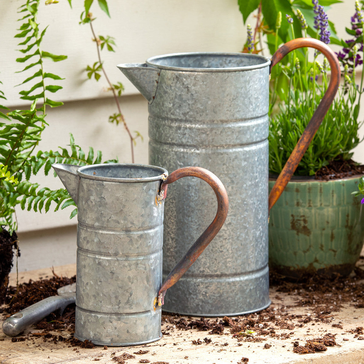 Tin Watering Can - Iron Accents