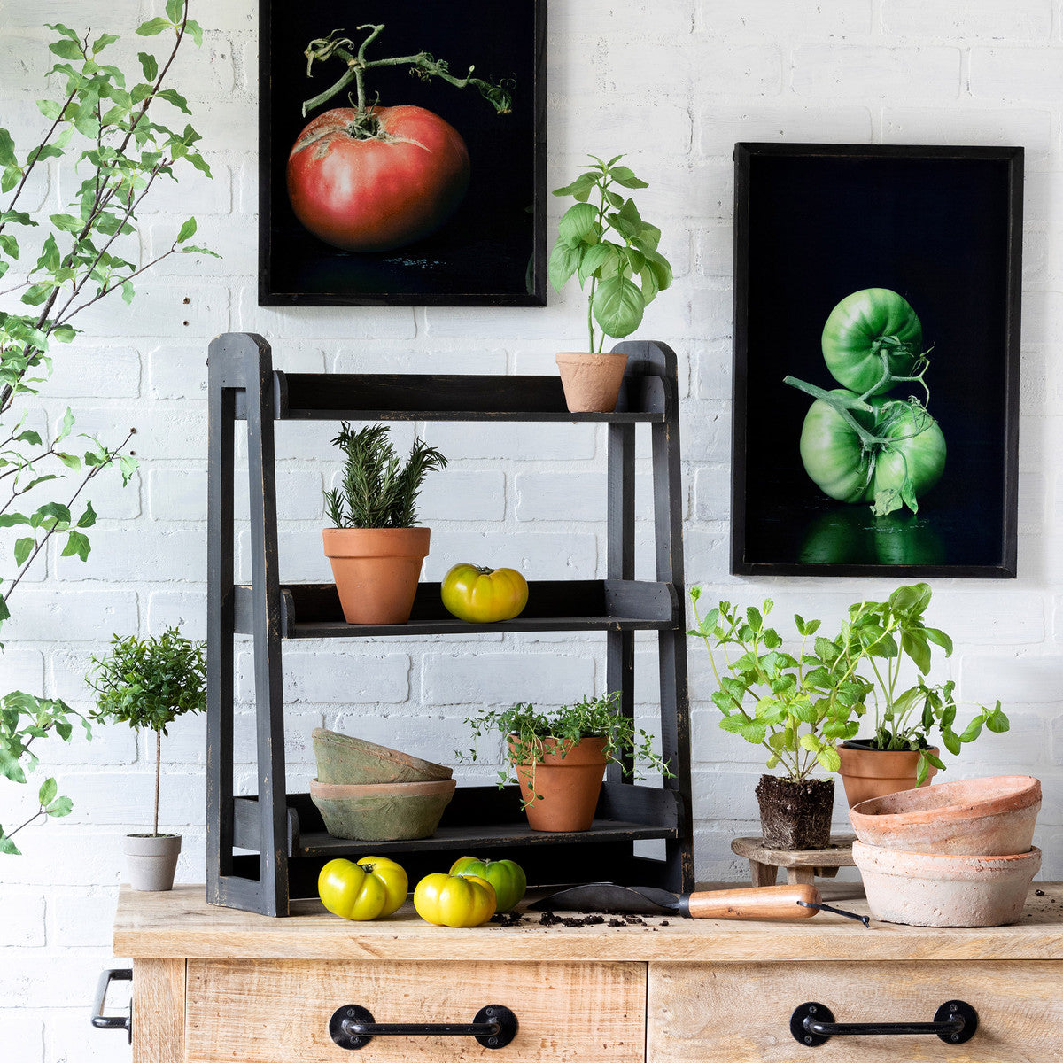 Three Tier Herb Rack