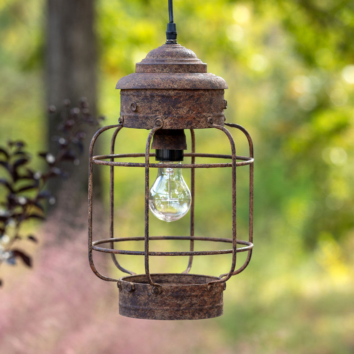 Metal Caged Pendant Light
