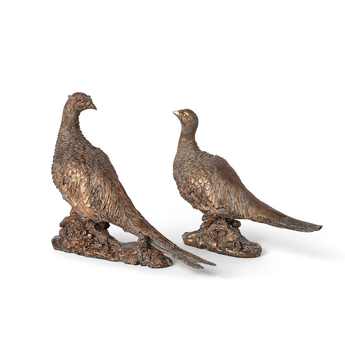 Bronze Pheasant Pair