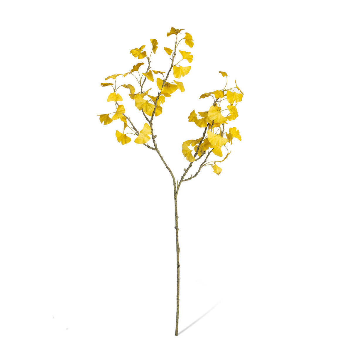 Golden Gingko Branch