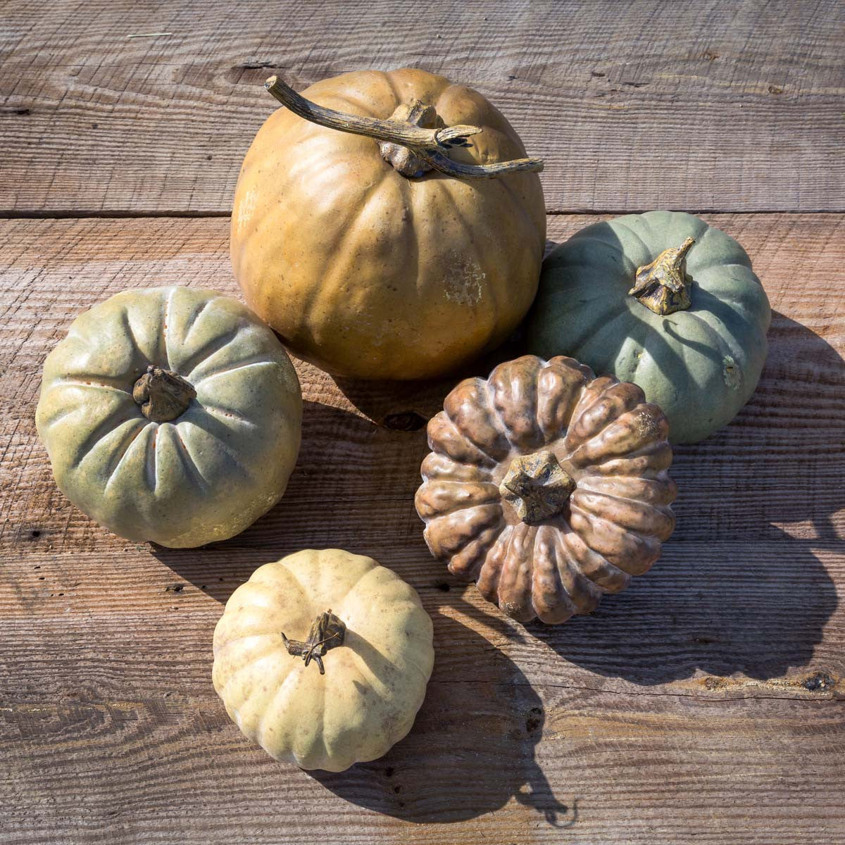 L'automne Pumpkins (Set-5)-Iron Accents