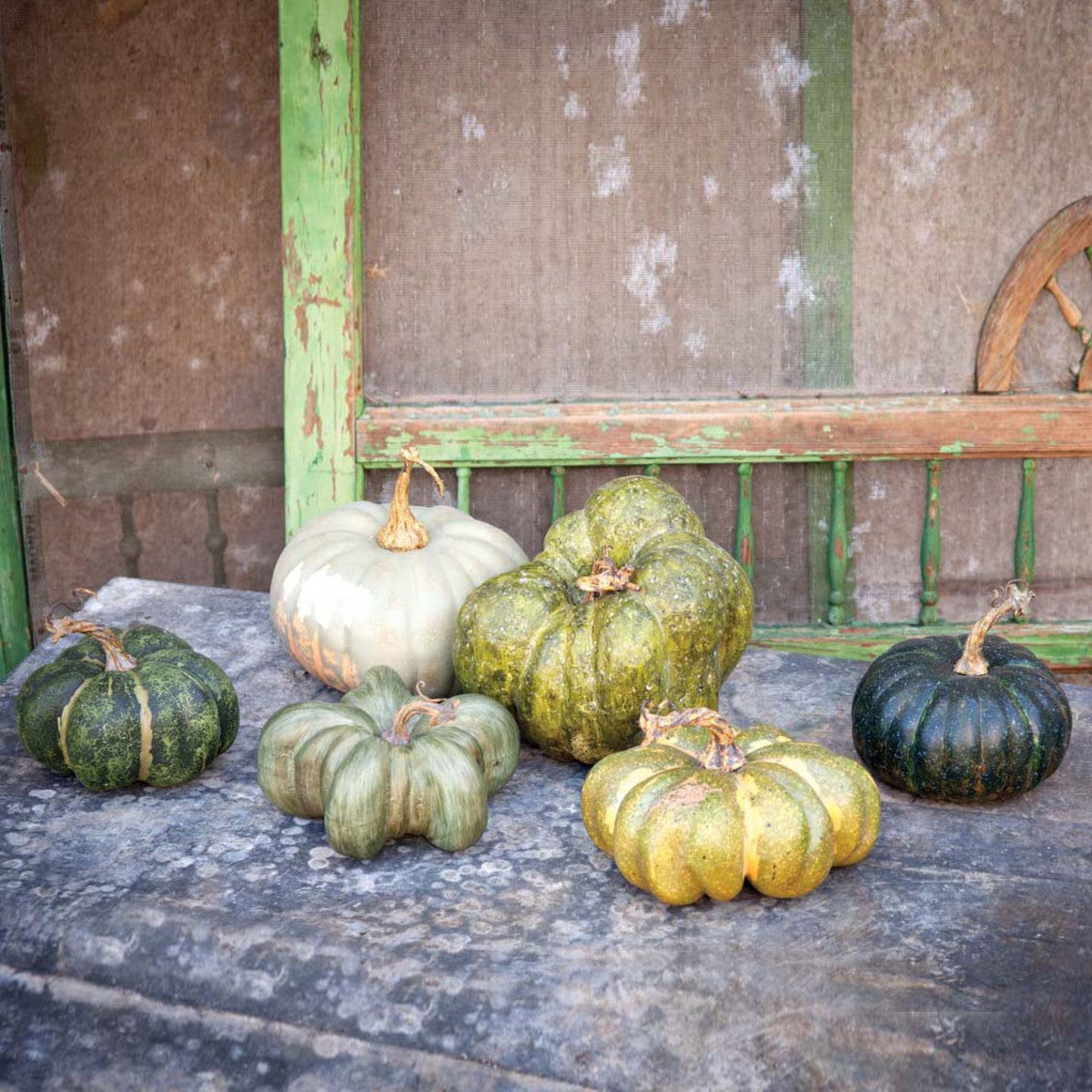 Small Heirloom Pumpkins (Set-6)-Iron Accents
