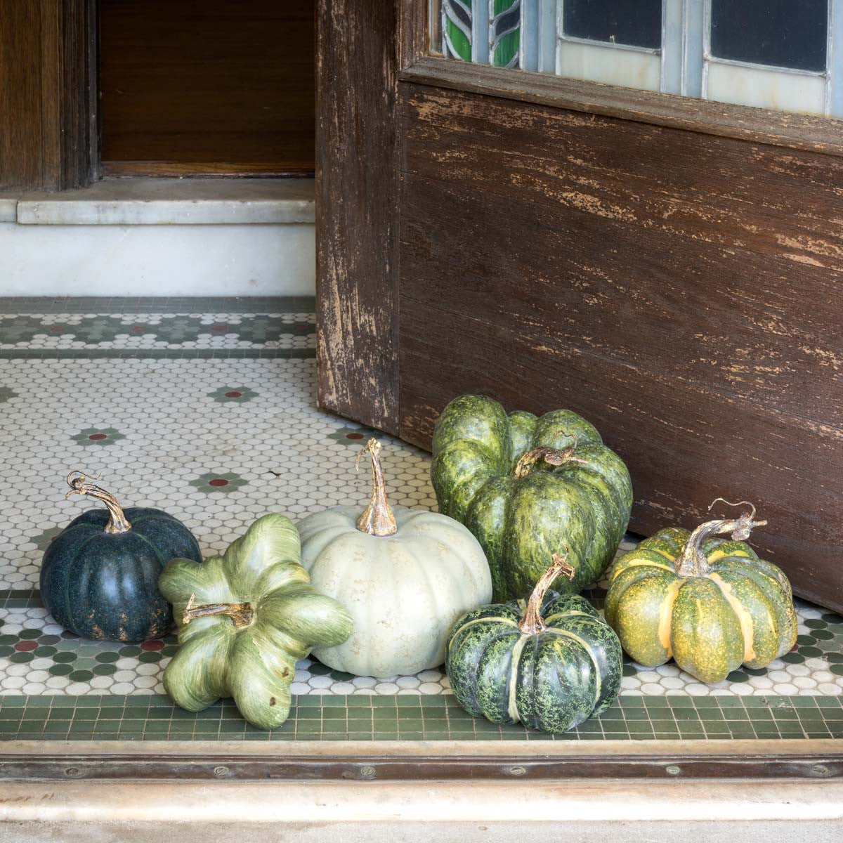 Small Heirloom Pumpkins (Set-6)-Iron Accents