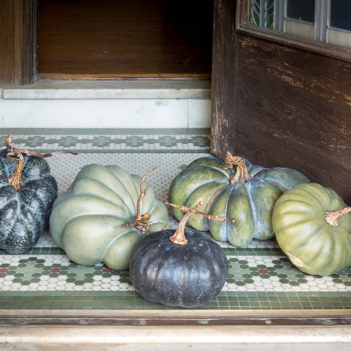 Green Heirloom Pumpkin (Set-5)-Iron Accents
