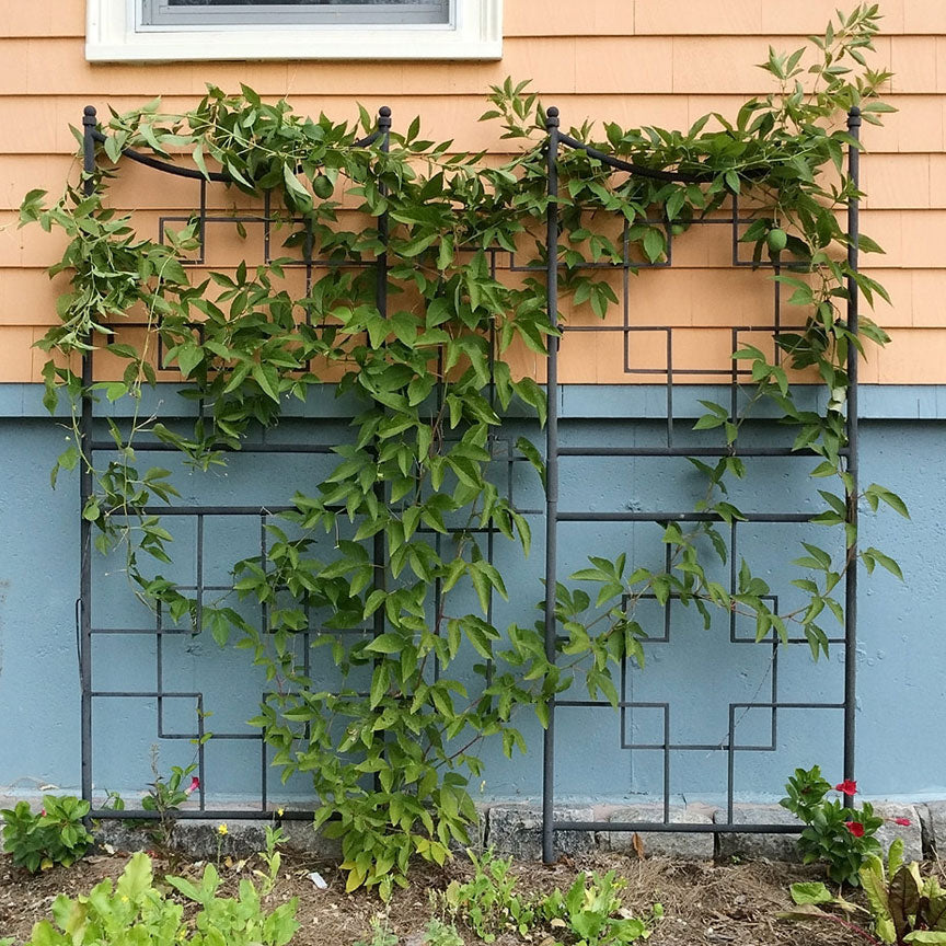 Geometric Trellis Set-Iron Accents