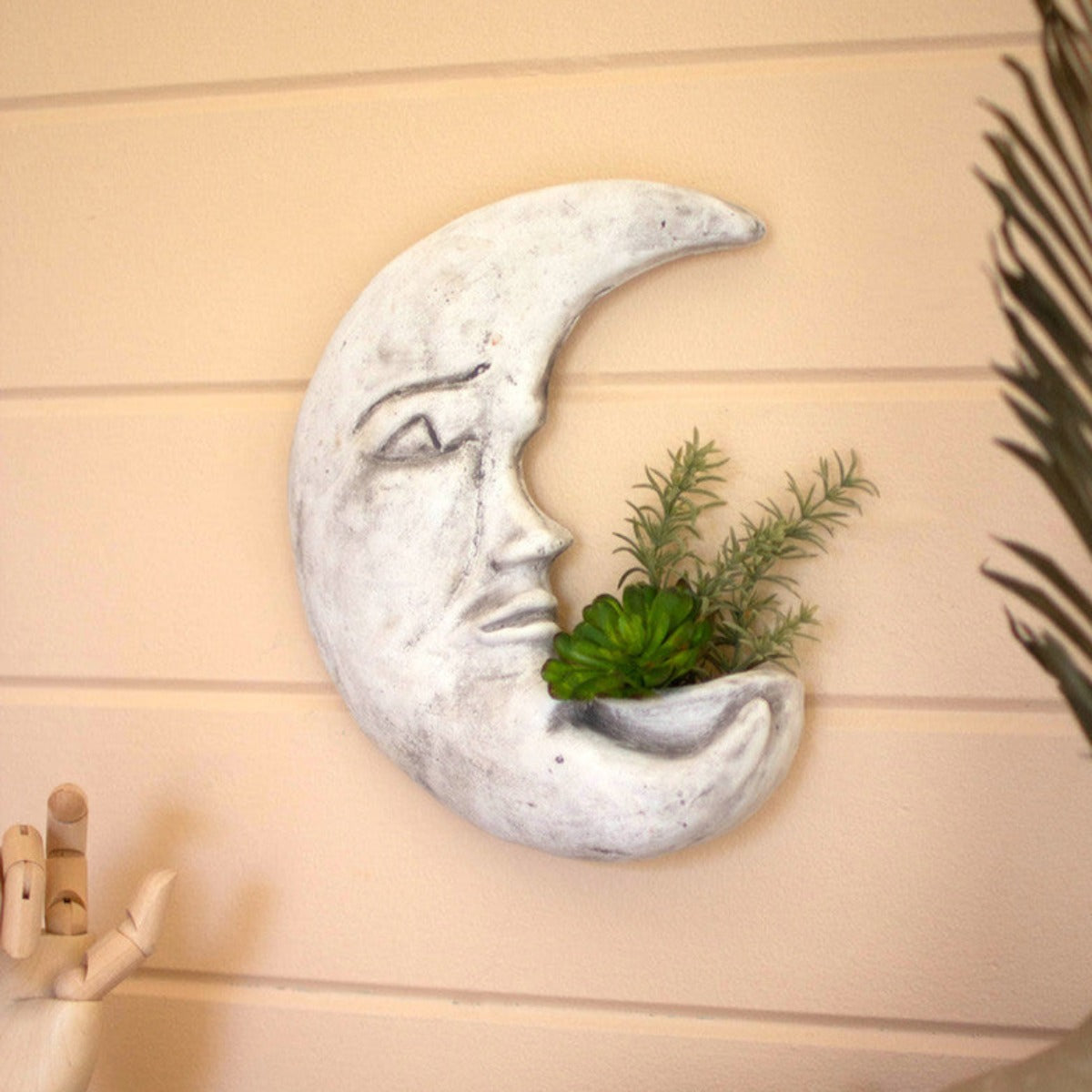moon plant pot Harvest Moon Planter