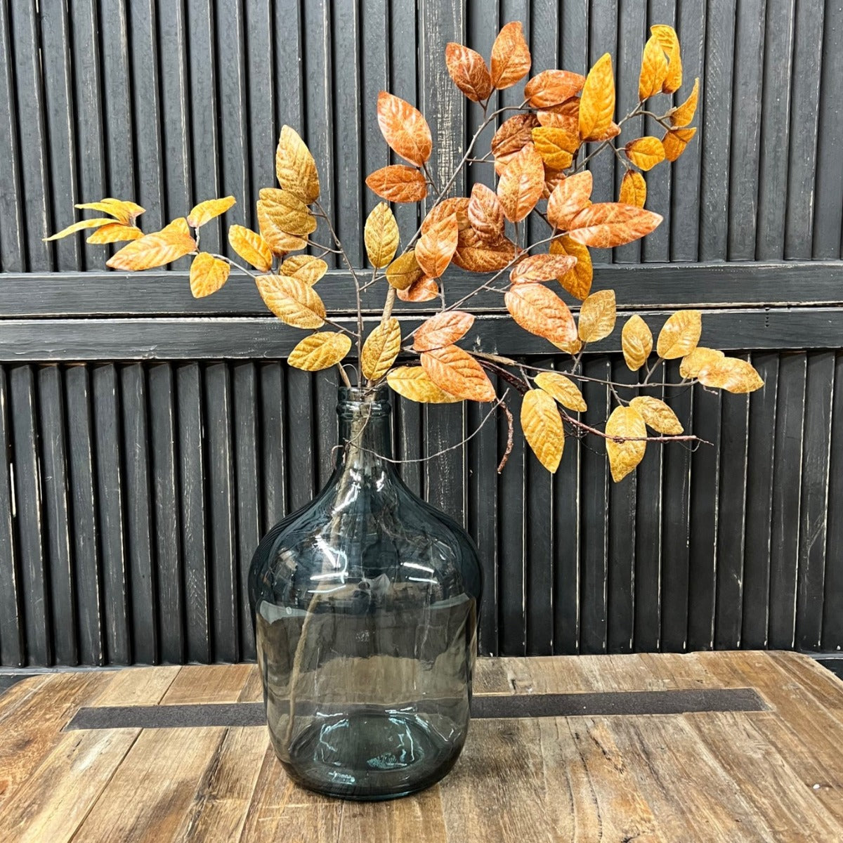 Fall Beech Leaf Pick