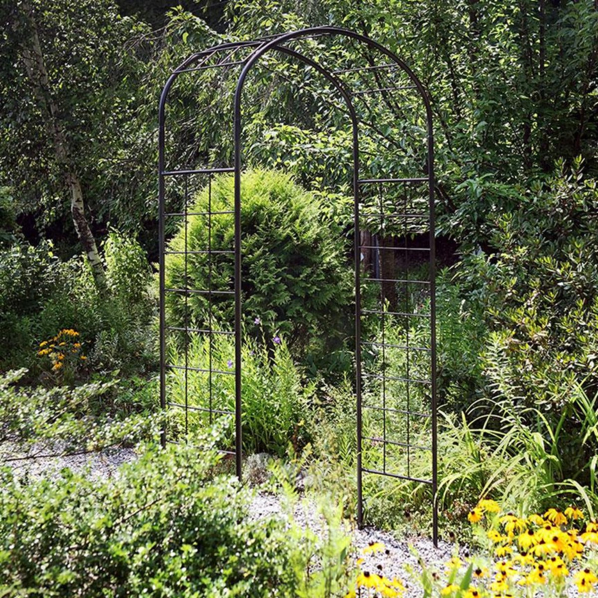 Leonardo Arbor-Iron Accents