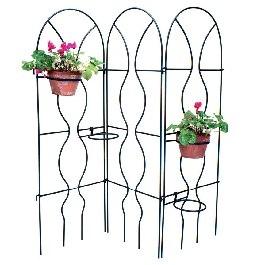 wrought iron plant trellis Achla Designs Orangery Trellis