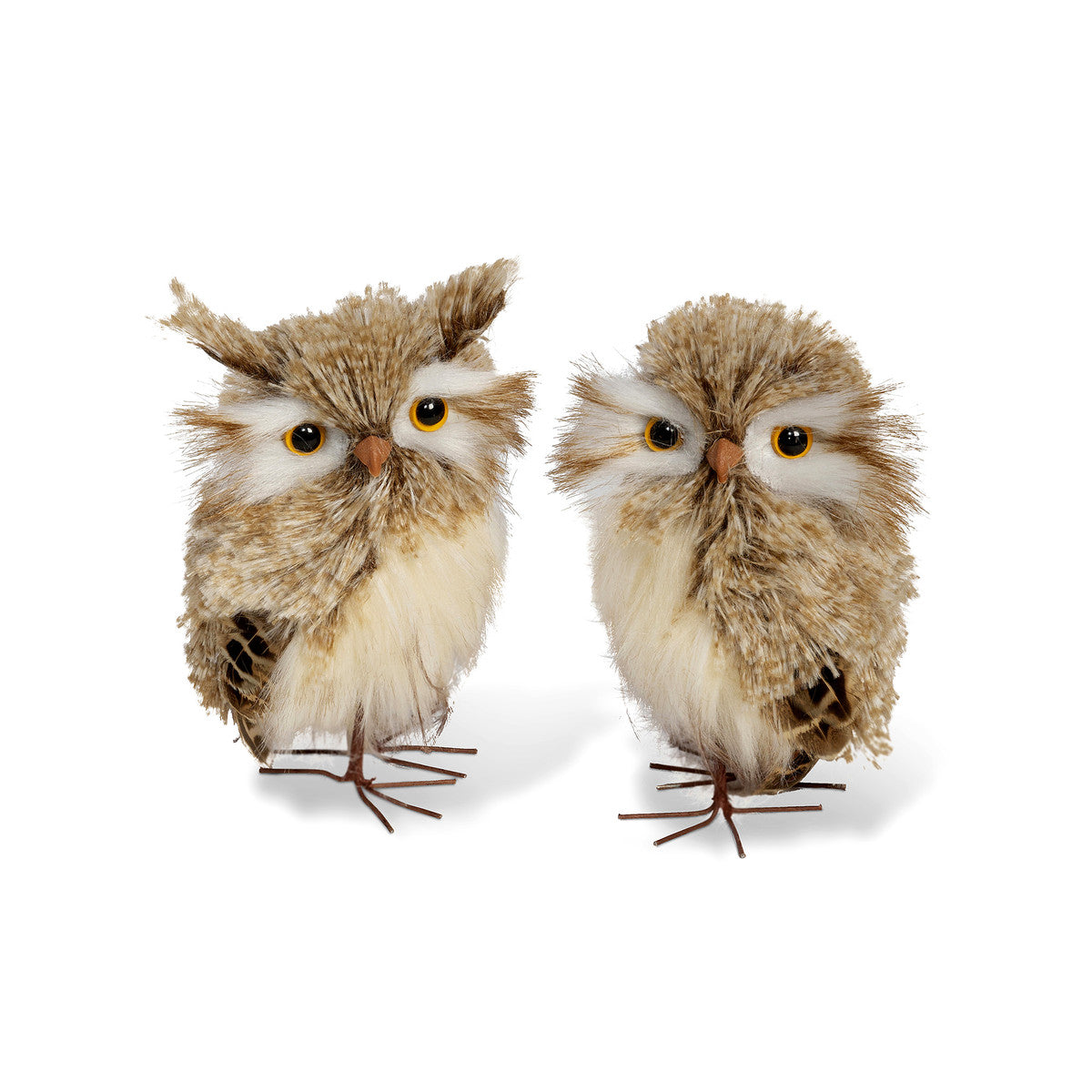 Feathered Horned Owls