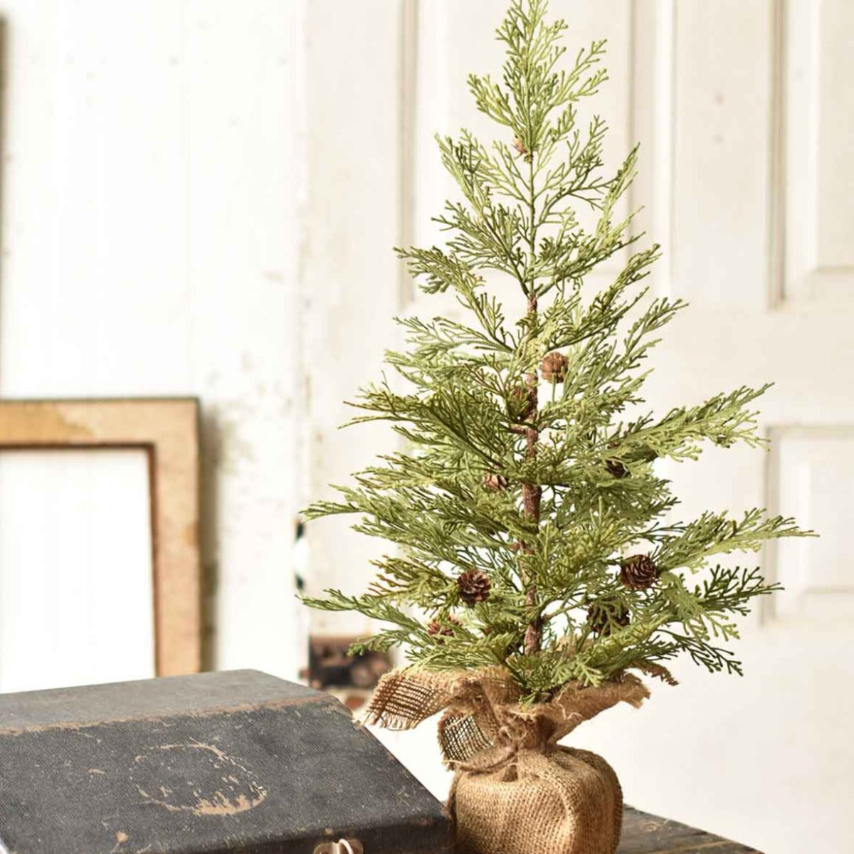 North Rim Hemlocks (3-Sizes)-Iron Accents