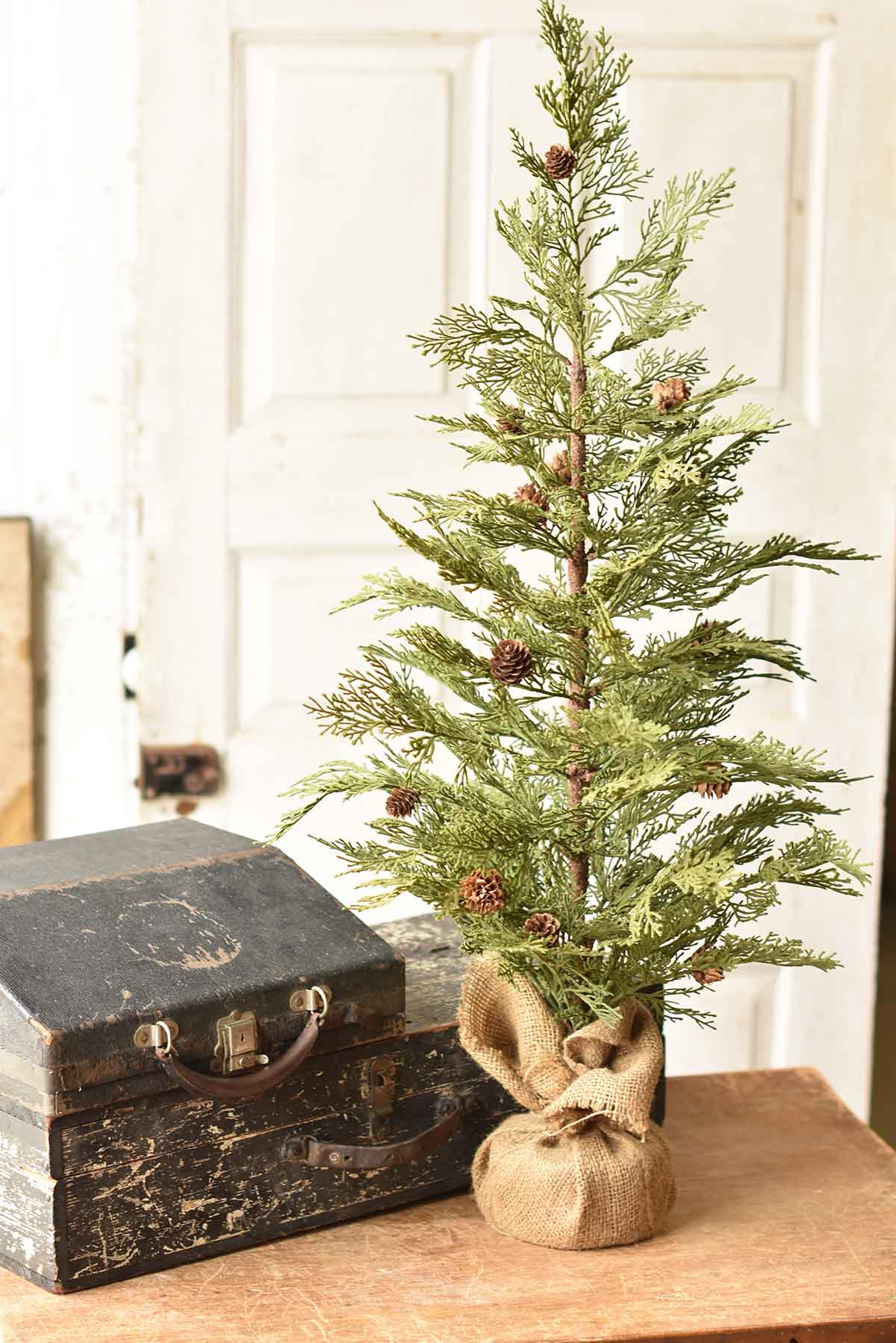 North Rim Hemlocks (3-Sizes)-Iron Accents