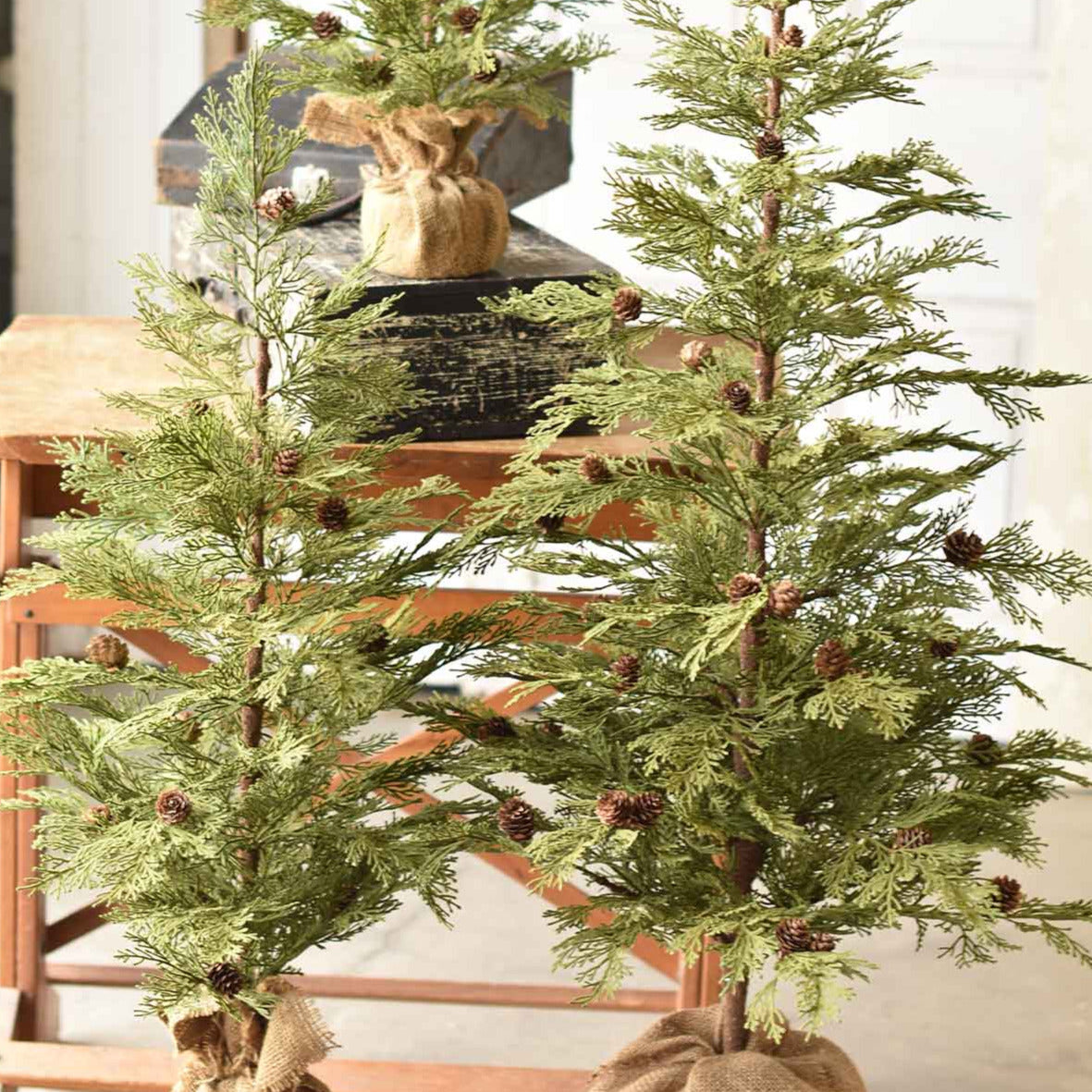 North Rim Hemlocks (3-Sizes)-Iron Accents