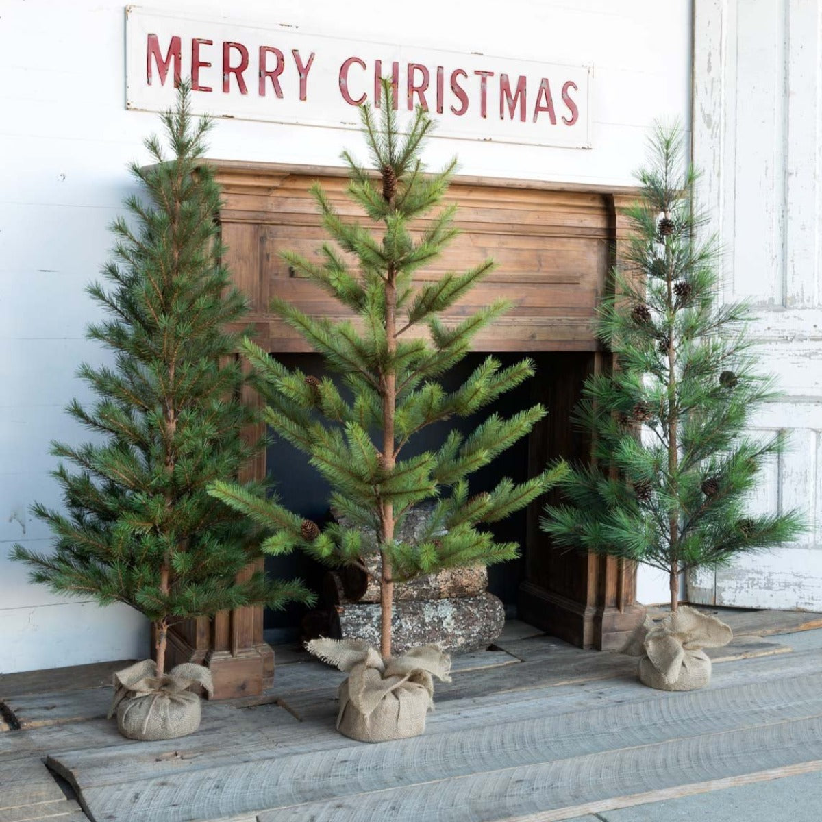 Third-Year Faux Seedling Trees (Set-3)-Iron Accents