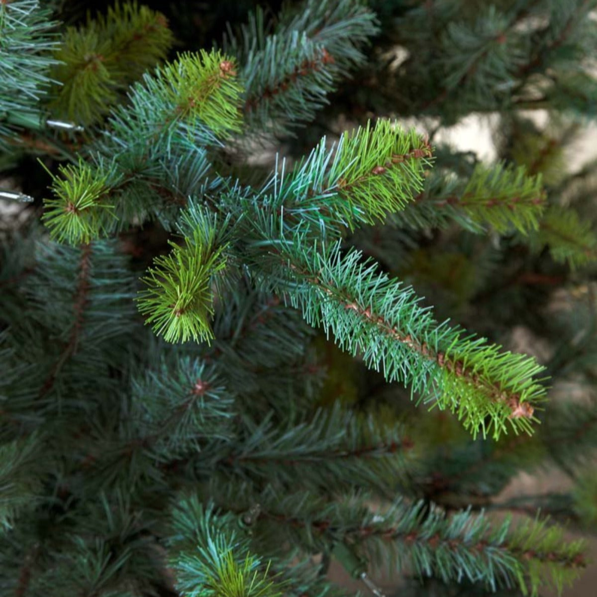 12' Park Hill Blue Spruce LED-Iron Accents