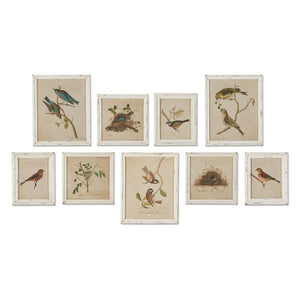 Bird Print Gallery (Set-9)-Iron Accents
