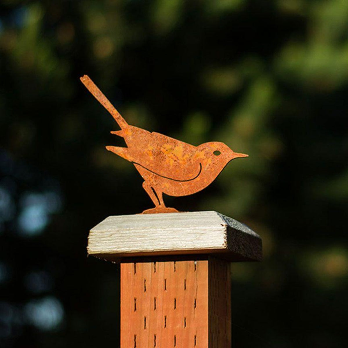Brown Thrasher Garden Art-Iron Accents
