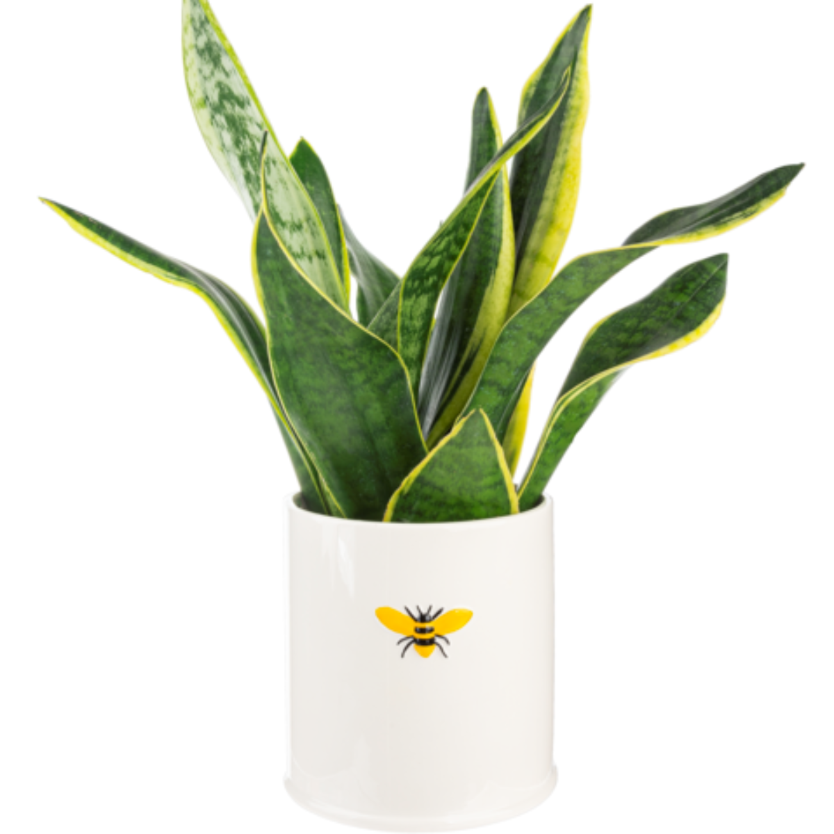 Bee Utensil Caddy / Planter