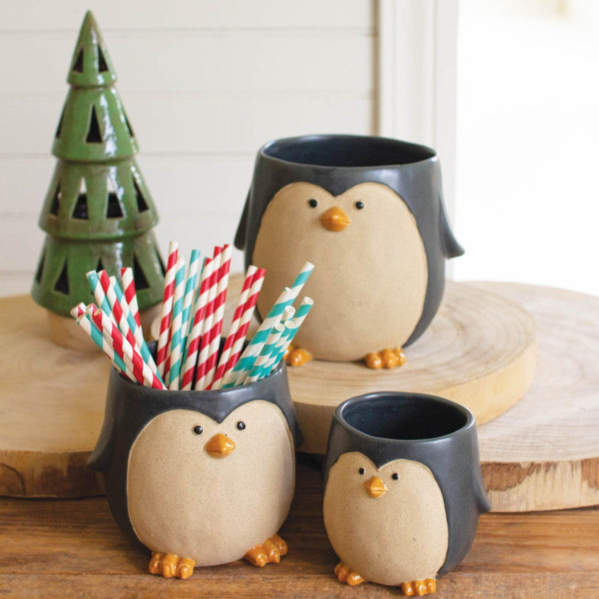 Three matte black ceramic penguin planters with succulents